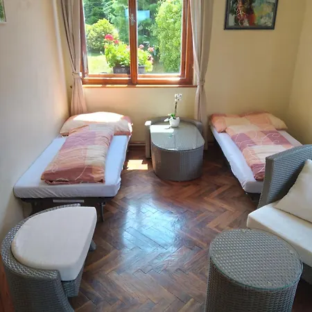 Mini-hôtel U Rudy *